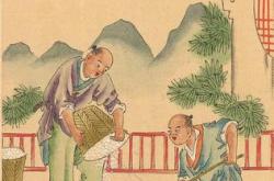 古代茶叶