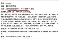 中国红红茶是哪里产的