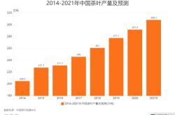 湖南茶叶什么时候采摘