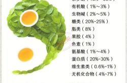 茶叶枕头的作用与害处