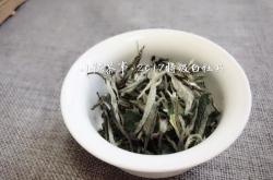 茶叶白和白毫茶哪个好喝