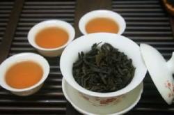 长春茶展会