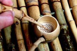 茶叶视频素材