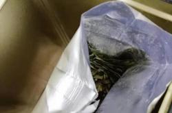 茶叶罐外包装膜怎么做
