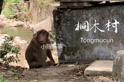 茶叶包为什么会浮在上面