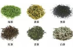柳叶眉茶叶基地