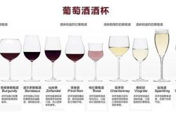 怎么看一瓶红酒的好坏
