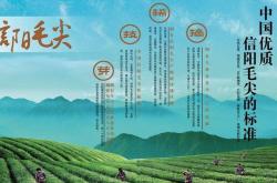 茶叶与泉水