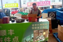 运输茶叶的帆船图片