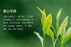 黄山出产的几种茶叶