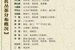单丛茶茶叶放多少克合适
