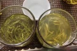 男人喝有毒的茶叶会怎么样