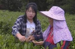 齐伯中学详细信息