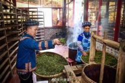 贵州省茶叶协会官网