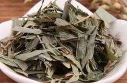 茶叶推荐夏季还是冬季好