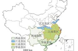 青浦区各地茶叶供应点在哪里