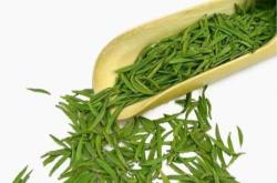 什么样的茶叶属于绿茶