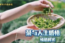 卖西瓜最火的视频