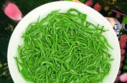 炒青茶叶哪里产的好