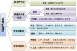茶叶的水浸出物含量高吗
