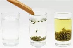 刚怀孕可以喝茶叶水嘛女性