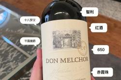 智力魔狮酒庄