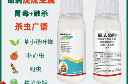 茶叶农药超标对人体的危害