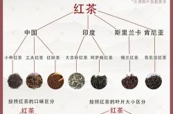 茶叶一天喝多少合适
