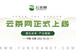云南茶叶供应商