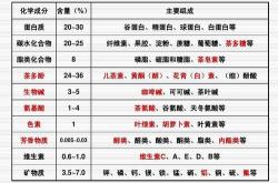 茶叶提取物皮肤