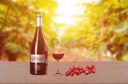 红酒糟能酿红酒吗视频