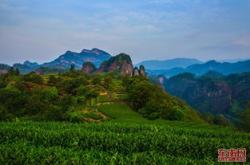 武夷山产什么茶叶