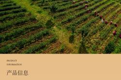 都匀毛尖茶有限责任公司