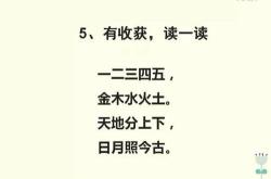 茶叶占尽金木水火土