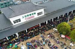 潞海茶叶市场在哪里啊电话