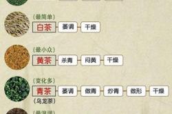 茶叶的主要功能