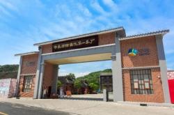 长沙茶叶哪里批发最便宜