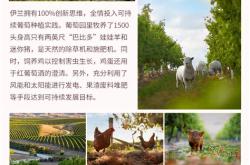 马斯蒂尼干红葡萄酒价格