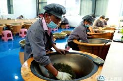做强茶企做好茶叶生产工作