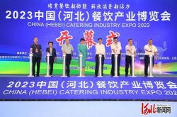 河北国盛招标公告