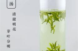 安徽毛尖茶叶加盟条件