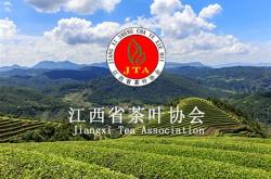 南川喝茶的地方