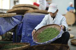 茶叶检验的作用有哪些?