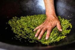 如何辨别茶叶是否过期
