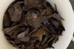 灵芝能不能泡茶叶喝呢女人
