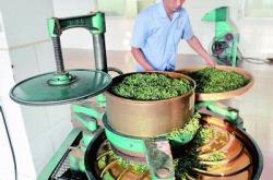 盘龙茶叶有限公司