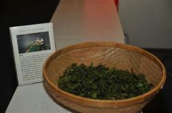 乌龙茶代理