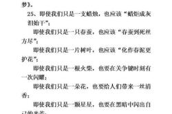 茶叶嫩芽田间图片