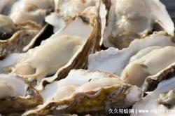 吃生蚝不能喝茶叶吗吗百度百科