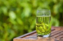 茶叶水养桂花好不好